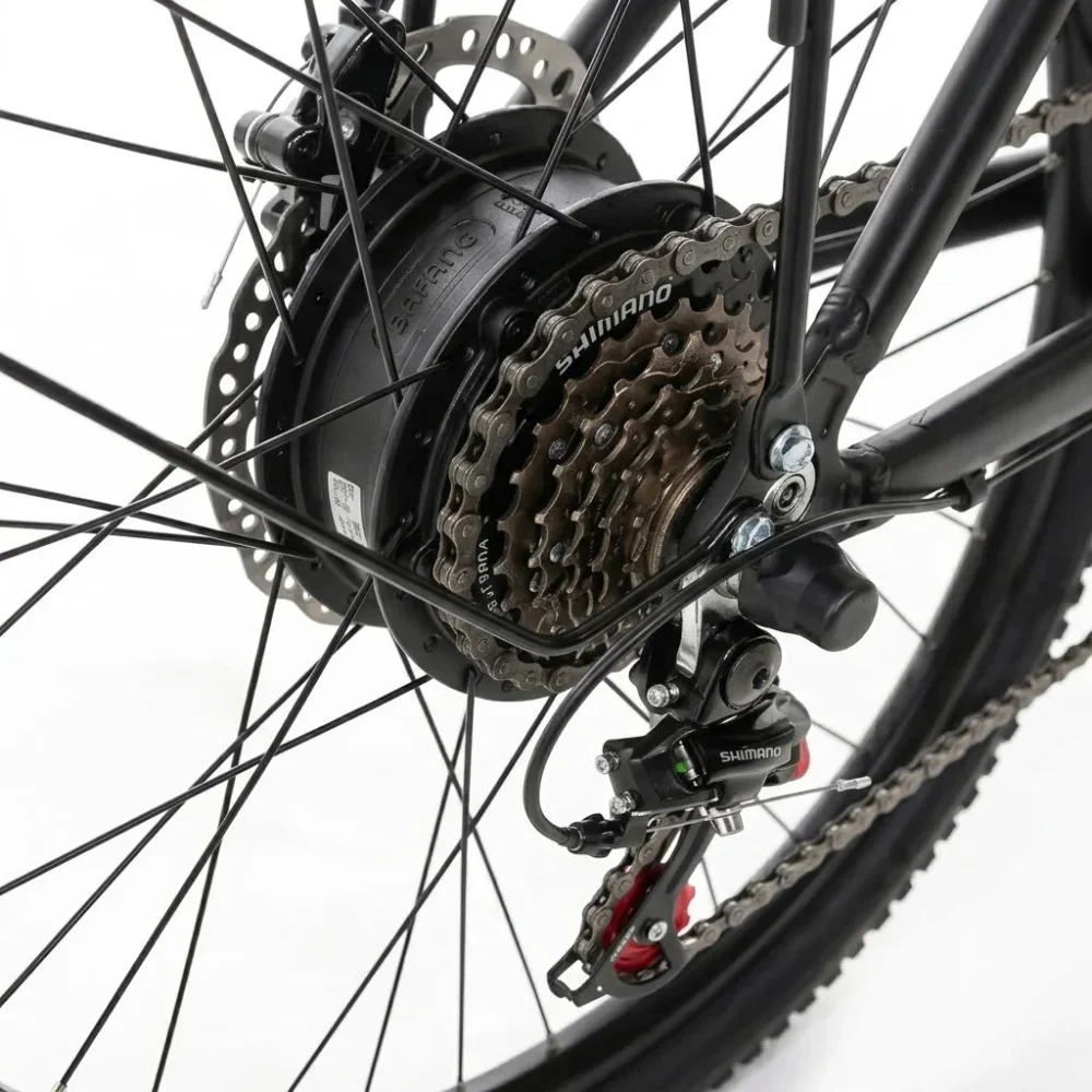 motore-posteriore-bici-elettrica-per-citta-forest-29