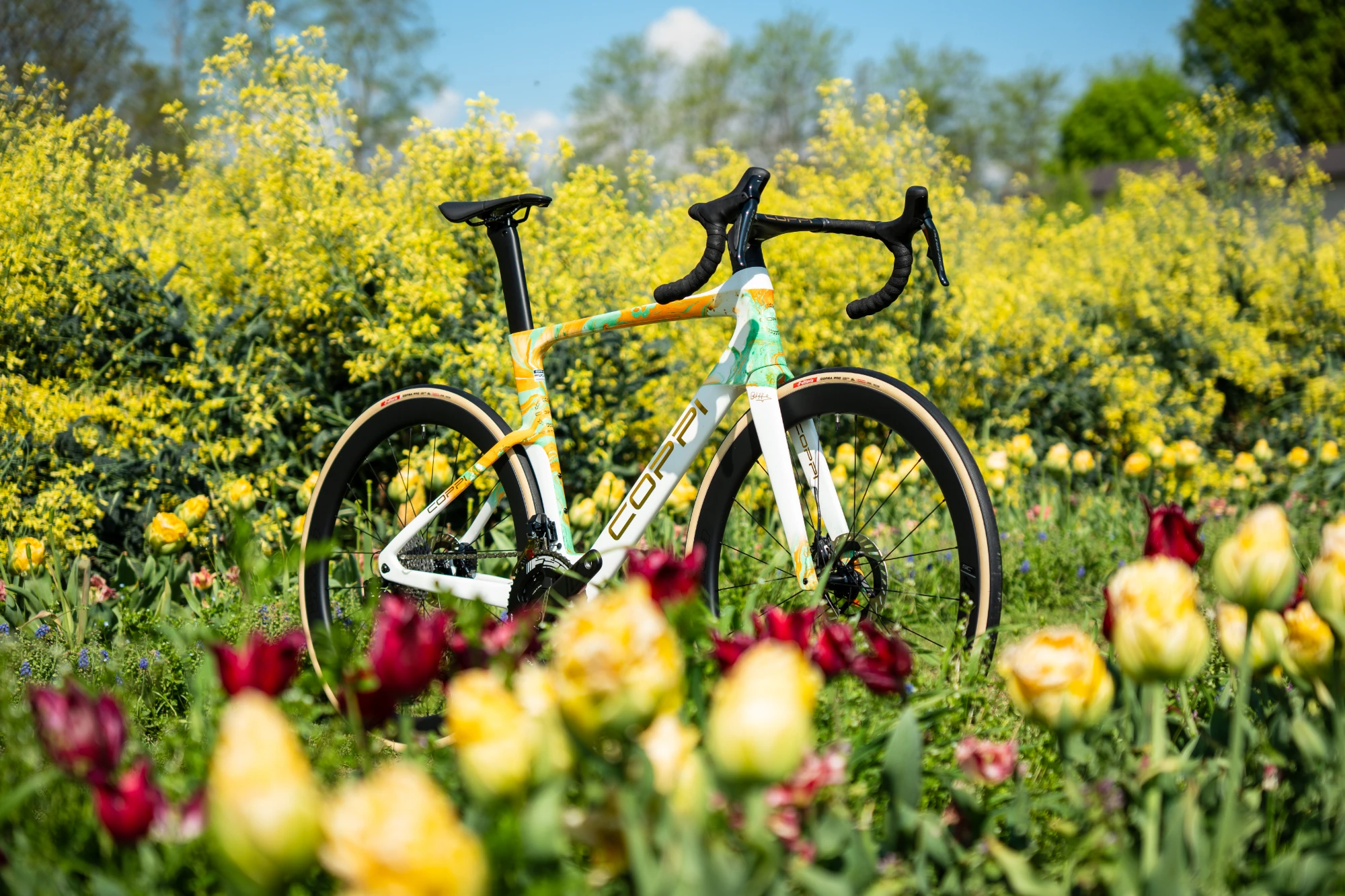 bici-da-corsa-coppi-greenspeed-in-carbonio