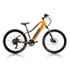 ebike